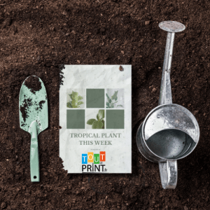 Cartes postales à planter personnalisé - Objets Publicitaires