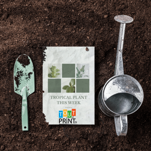 Cartes postales à planter personnalisé - Objets Publicitaires