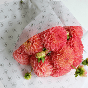 Papier de soie sans impression personnalisé - Imprimerie
