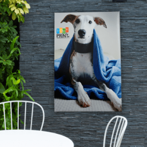 Photo sur toile imperméable personnalisé - Panneaux