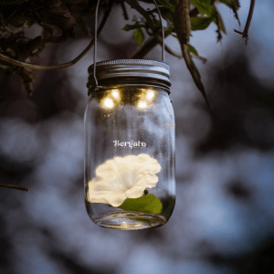 Lampes solaires de jardin personnalisé - Habitat