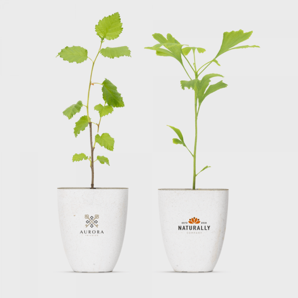 Boîte aux lettres Treemore Arbres personnalisé - Signalétique