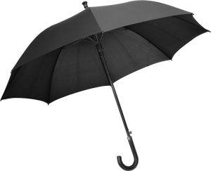 Charles Dickens parapluie Annabella | Automatique personnalisé - Parapluies