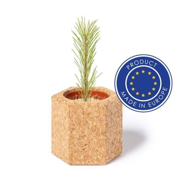 Pot en liège, graines de pin neutre personnalisable avec logo